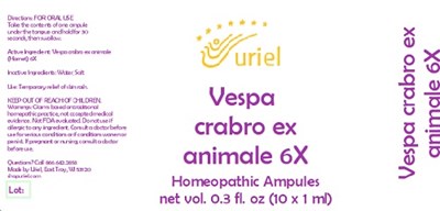 Vespa Crabro Ex Animale 6x (Vespa Crabro Ex Animale 6x)